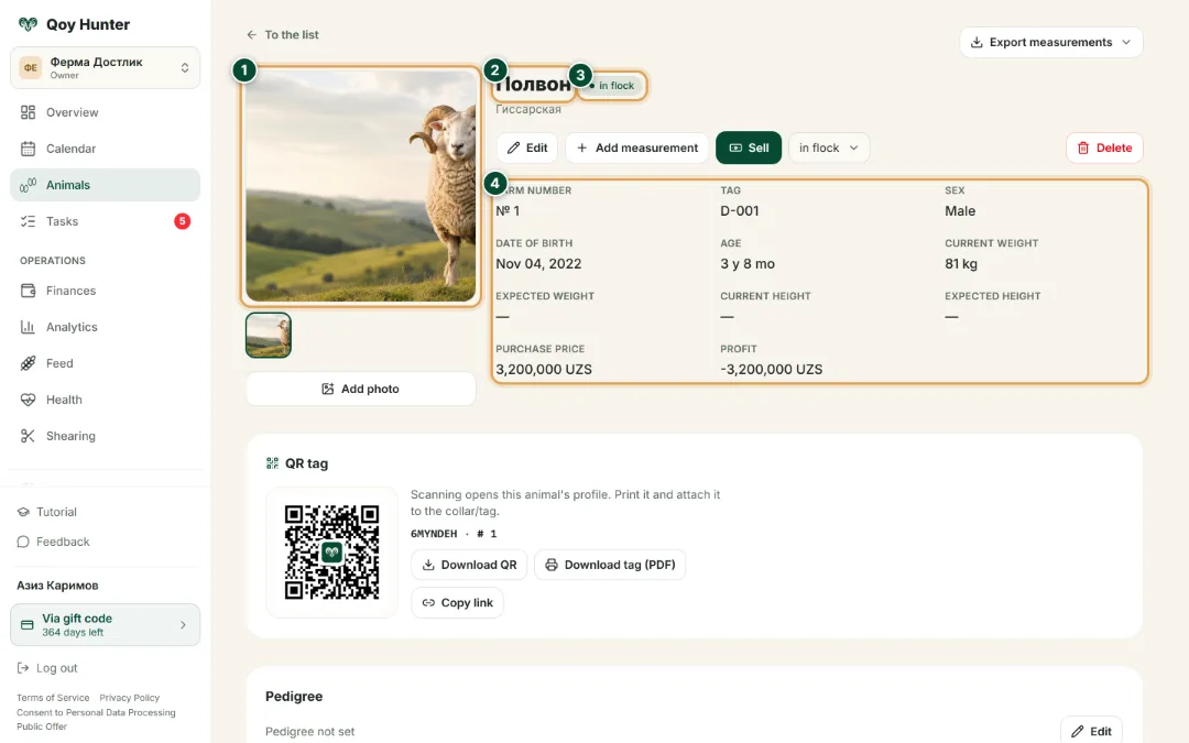 Animal card — The card header: How to use it — QoyHunter