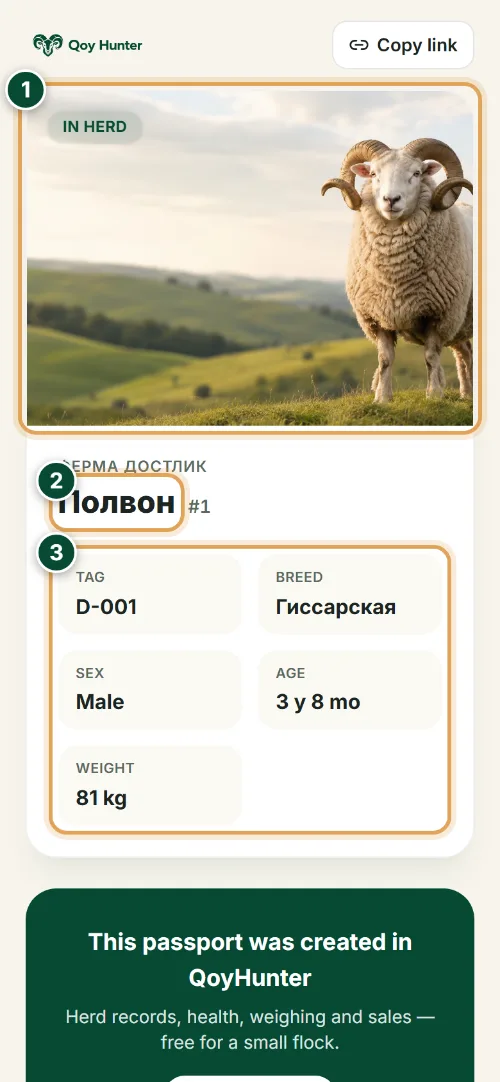 QR tags and animal passport — The public animal passport: How to use it (Phone) — QoyHunter