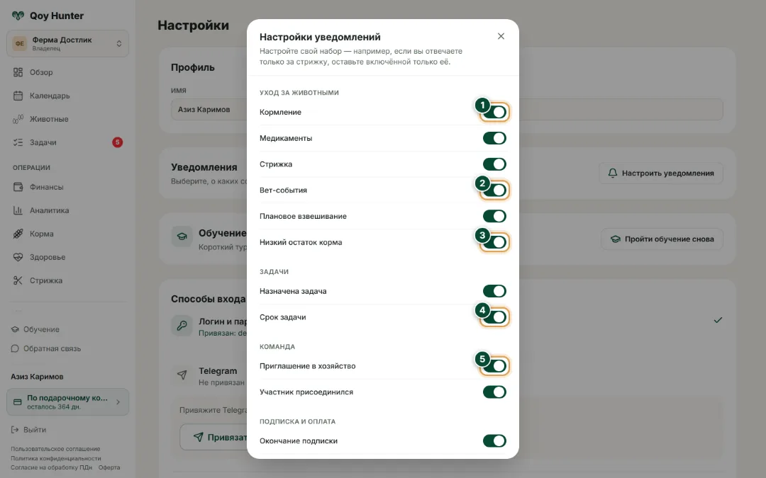 Уведомления и настройки — Настройка уведомлений: Как пользоваться — QoyHunter