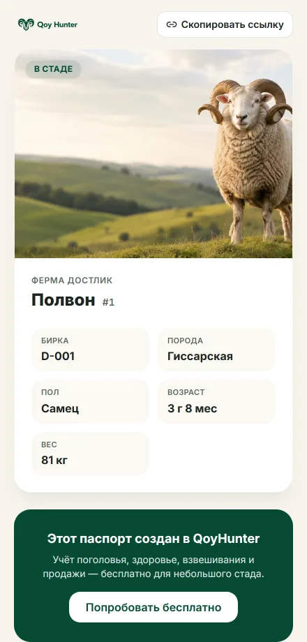 QR-бирки и паспорт животного