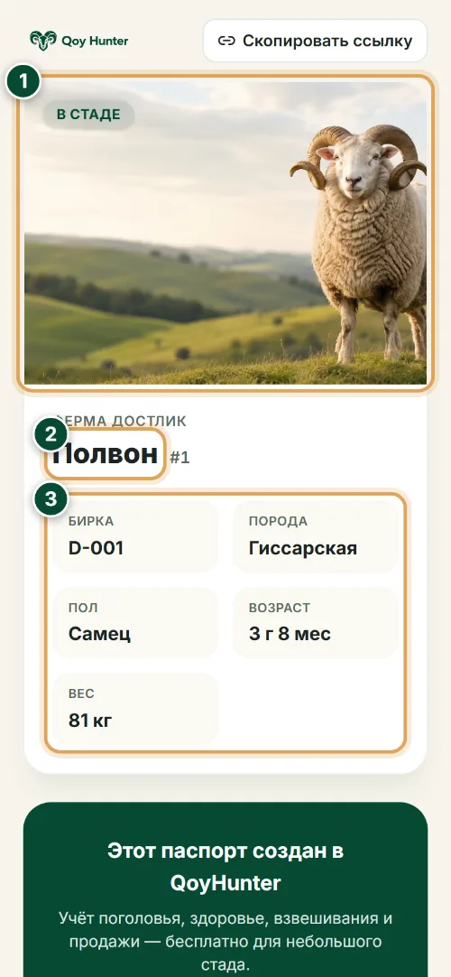 QR-бирки и паспорт животного — Публичный паспорт животного: Как пользоваться (Телефон) — QoyHunter